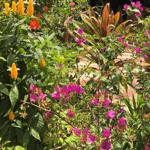 Meet your Posher, Christine